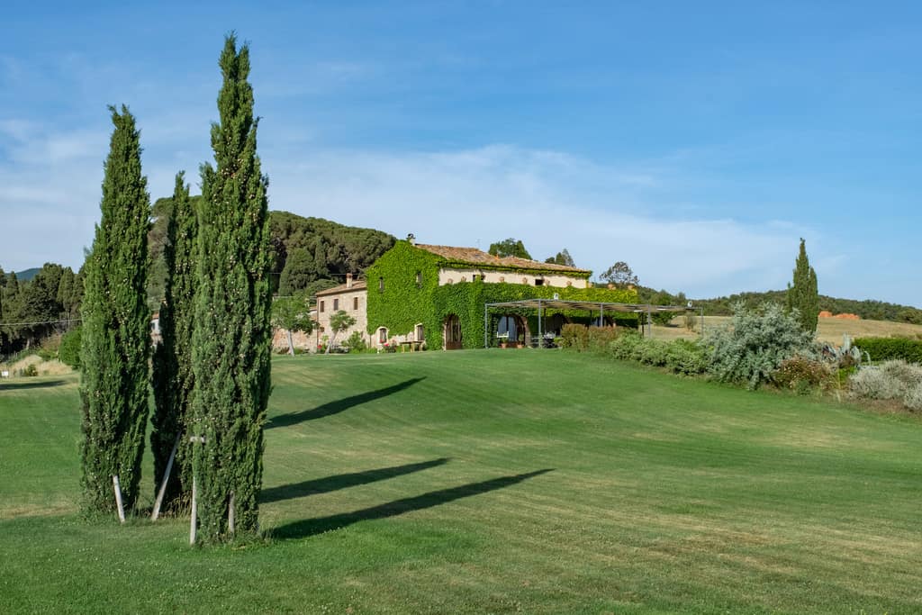 Villa Terriccia 3